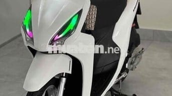vision kiểng đẹp