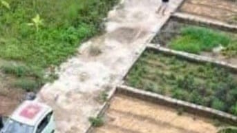 Bán đất thị trấn Kim Bài, Thanh Oai, Hà Nội, S: 41,8m2, giá 52,5 trệu/