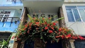 Ảnh đại diện