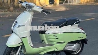 PEUGEOT siêu lướt - bao rút hồ sơ cho khách
