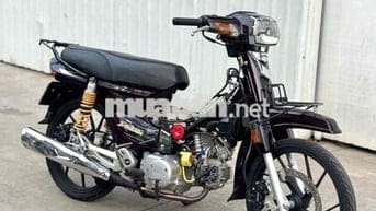 dream thái 98 bstp 9 chủ full kiểng
