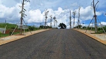 Cơ hội đầu tư: Đất nền Di Linh chỉ từ 286 triệu, sổ riêng!