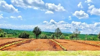 Bán đất nền Di Linh gần cao tốc, sổ sẵn, giá chỉ từ 4,5 triệu/m²