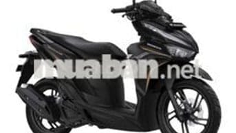 xe Vario 125. ODO 120km