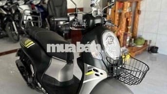 💥💥 Xe SCOOPY Đời 2023 🥰🥰