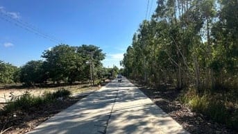 2 Mẫu Tân Xuân Hàm Tân 3 Mt Đường Nằm Khu Dân Cư Giá Ngộp