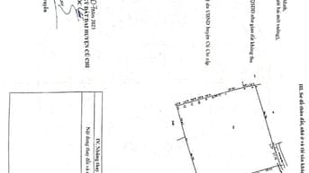 Cho thuê Thổ vườn giá rẽ, 5500m2, 200 thổ cư thương lương