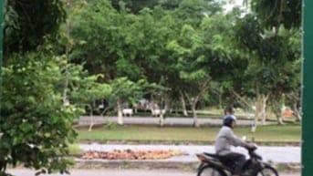  CHO THUÊ KHO + VĂN PHÒNG Vị trí đắc địa cạnh Siêu thi AEON