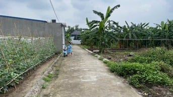 Bán lô đất 60m2 tại Kiều Hạ, Quốc Tuấn, An Dương, Hải Phòng. Giá 760 t