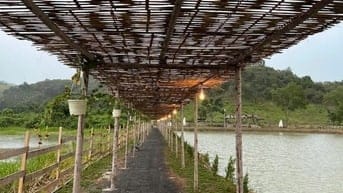 Bán đất Đang Kinh Doanh Buôn Bán ấp Bàu Chim, Xã Phú Xuân, Tân Phú ĐN