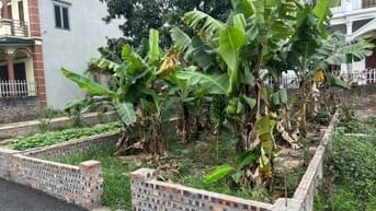 Bán đất thôn Đồng và thôn Sơn Du xã Nguyên Khê huyện Đông Anh