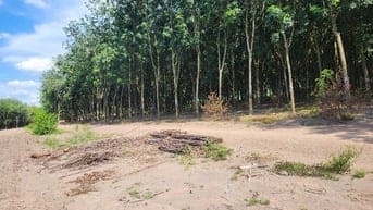 Bán đất tiến thành TP ĐỒNG XOÀI BÌNH PHƯỚC 11ty2 1 hec thương lượng