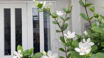 NHÀ 8 X 10M - 2 TẦNG -  HẺM 277 - XÔ VIẾT NGHỆ TĨNH - PHƯỜNG 15