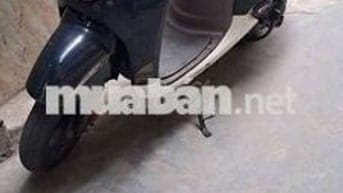 Bán xe ga 50cc