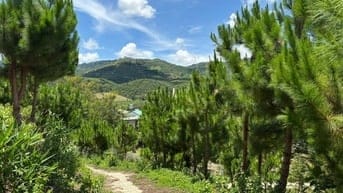 6000m2 mặt tiền Bao Siri, đã tạo sẵn View 360, khu dân cư, QH thổ cư