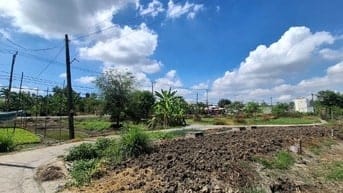 Bán đất thổ vườn đường Tân Liễu, X.Hưng Long, Bình Chánh