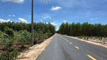 1000m2 Mặt Tiền Đường Nhựa Sát Trung Tâm Giá Chỉ 1,3 Tỷ