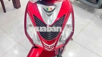 Vision đk2019 bst