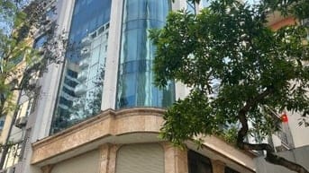 Cho thuê tòa nhà 45 Phạm Tuấn Tài: 160m2, 1 hầm, 8 tầng
