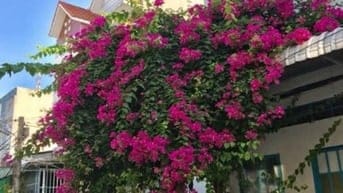 Cho Thuê Phòng Trọ Gần Công An Quận Ninh Kiều