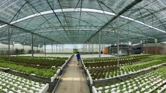Cần bán đất hoặc cho thuê farm trồng rau thuỷ canh công nghệ cao 