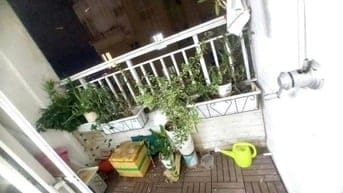 Chung cư Bàu Cát,p10, Tân Bình: 90m2,3p ngủ, 2wc, 11tr/th, Nội thất