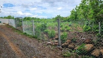 CHÍNH CHỦ BÁN 1089 M2 ĐẤT CLN  TẠI XÃ NGỌC ĐỊNH, HUYỆN ĐỊNH QUÁN