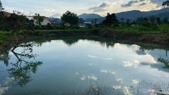 Bán đất biệt thự view đẹp TP Bảo Lộc