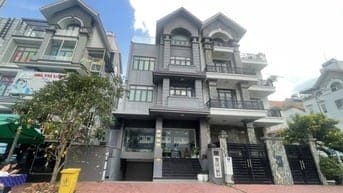 Bán biệt thự HIMLAM f Tân Hưng 20 x 20 1 hầm 4 lầu ,78 tỷ