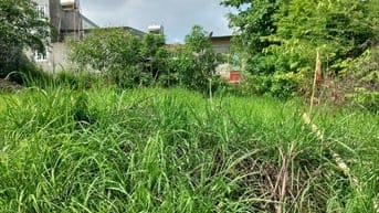 Chỉ 1,5 tỷ có 500m2 đất vườn khu dân cư an toàn xã phú đông sổ riêng