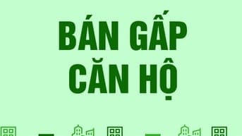 Bán căn hộ chung cư đường Trần Triệu Luật, Phường 7, Quận Tân Bình