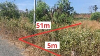 Công ty Đấu giá hợp danh Lam Sơn Sài Gòn THÔNG BÁO ĐẤU GIÁ TÀI SẢN