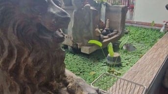 BIỆT THỰ SIÊU HIẾM_MẶT TIỀN CÔNG LÝ_BÌNH THỌ_ 17X50M, C4, GIÁ 68 TỶ