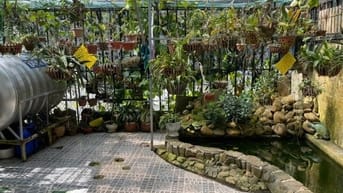 Bán Villa Hẻm ô tô Sổ riêng Nguyễn Hữu Cảnh, Phường 8, Đà Lạt