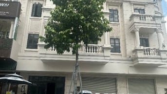 CHO THUÊ 1 CẶP NHÀ MẶT TIỀN ĐƯỜNG SỐ 3 KHU CITYLAND PHƯỜNG 10 GÒ VẤP