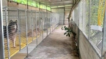 CHO THUÊ GẤP! VƯỜN 5000M2- GẦN BIG C THĂNG LONG – GIÁ 15 TRIỆU       
