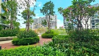 Sang Hợp đòng thuê căn trệt Ruby để mở lớp dạy học celadon city TânPhú