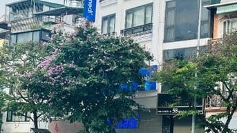 🌟 CHÍNH CHỦ BÁN GẤP NHÀ MẶT PHỐ VĂN CAO – BA ĐÌNH