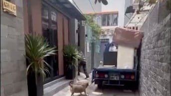 BÁN TÒA NHÀ CĂN HỘ DỊCH VỤ CAO CẤP – ĐIỆN BIÊN PHỦ, QUẬN 10