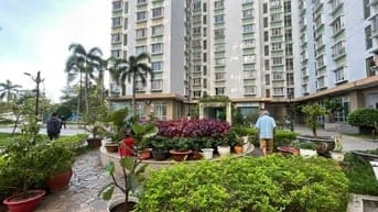 Cần bán gấp chung cư D1 KDC Phú Lợi P7 Q8.  - Dc: Phạm Thế Hiển P7 Q8.