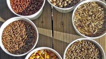 Nguyên liệu thức ăn chăn nuôi, thủy sản