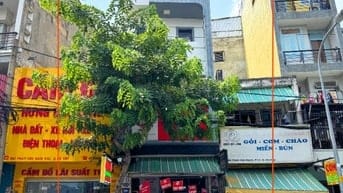 Ảnh đại diện