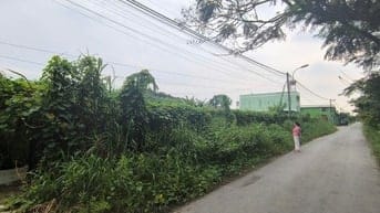 Cho thuê đất làm kho, nhà xưởng 1350m2, 11 triệu VND tại Đường 130, Củ