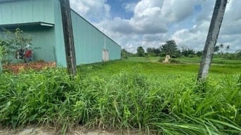 CTY ĐẤU GIÁ HỢP DANH TRỰC TUYẾN VIỆT NAM (VNOA) TỔ CHỨC ĐẤU GIÁ