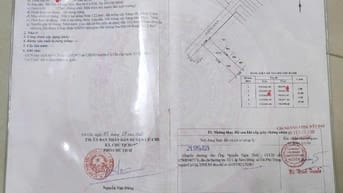 CHỦ GỬI BÁN LÔ ĐẤT -125M2 GIÁ 550TR -Đ.LIÊU BÌNH HƯƠNG TÂN THÔNG HỘI 