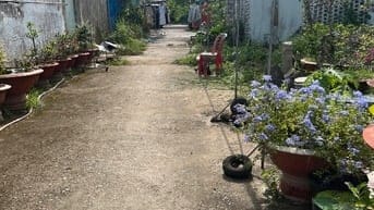Bán lô đất nền gần tp vĩnh long 