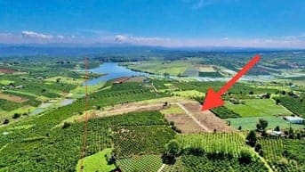 Diện tích 355m2/lô sẵn 100m2 đất ở, sẵn sổ, view hồ tại Phúc Thọ 