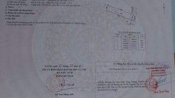 BÁN LIỀN LÔ ĐẤT GIÁ RẺ Ở TÂN AN HỘI-CỦ CHI VỚI GIÁ 450 TRIỆU