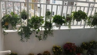 TÔI CHỦ NHÀ BÁN ĐÚNG GIÁ CAO ỐC B NGÔ GIA TỰ 2PN,2WC GIÁ 2,85 TY
