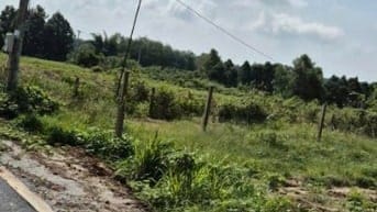 cần bán đất phú giáo đường dh 504 ngang 25m dài 50m có 300m thổ cư